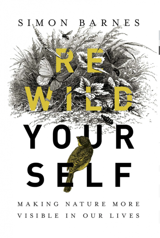 Rewild Yourself